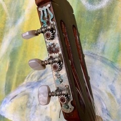 ガットギターの画像