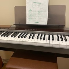 【美品】CASIO 電子ピアノ CASIO Privia PX-100 88鍵盤、ピアノ鍵盤 【無料配送可能】
