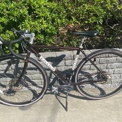 Raleigh Carlton-DCCR 2020年購入