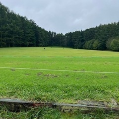 単発OK！長期OK！【日給14,000円】ゴルフ場キャディ