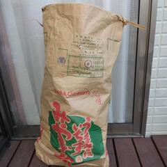 🔥マキ🔥約12キロ