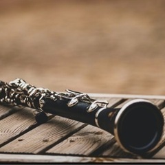 ヴァイオリンの方一緒に演奏しませんか？ - 豊島区