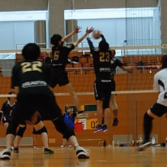 混合バレーのメンバー募集 - スポーツ