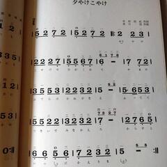 大正琴の画像