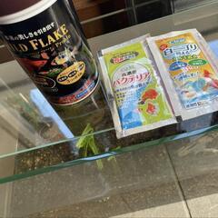 水槽セットの画像