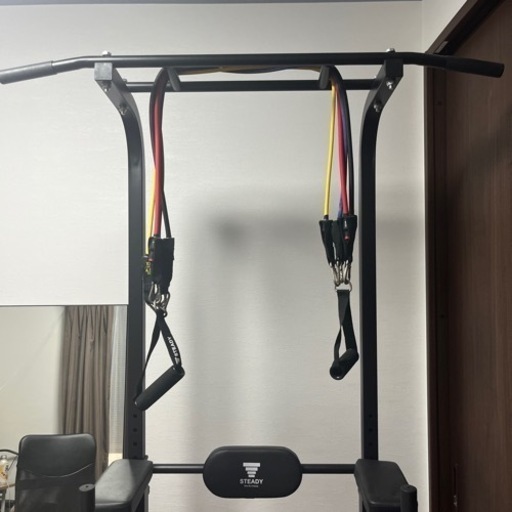 STEADY   ステディ