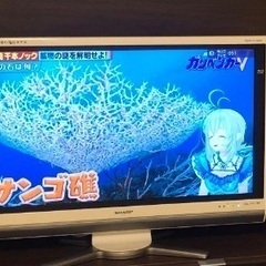 セット　炊飯器　テレビの画像