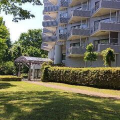 初期費用なし。大浴場温泉付き - 不動産