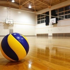 バレーボールメンバー募集中！