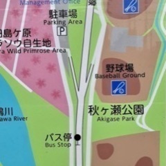 桜草公園のパークヨガ　近所でらくらくヨガlifeの画像