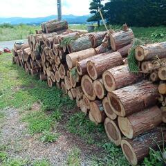 ★　玉切り済み杉　薪　１個あたり３９０円！の画像