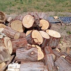 ★　玉切り済み杉　薪　１個あたり３９０円！の画像