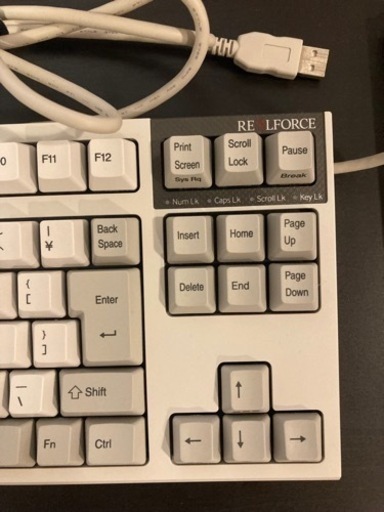 REAlFORCE PFU Limited Edition R2TLSA-JP4-IV