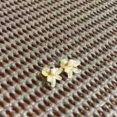 ピアス　フラワー　ミニピアスの画像