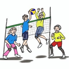 ソフトバレーボール