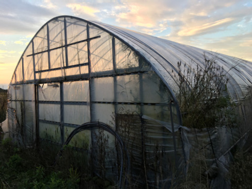 ビニールハウス間口6m×長さ25m 4棟受け渡し予定者様決定、残りは2棟あります。