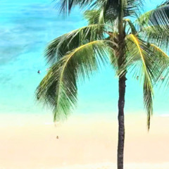 💗楽しい初心者クラススタート！フラダンスを初めてみませんか🎵 1...