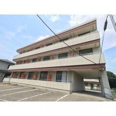 初期費用５０，０００円（分割払いなどはありません　家財保険のみで...