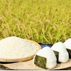お米、食料支援いたします！