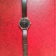 SKAGEN スカーゲン　ANITA SKW2267　レディースウォッチ 電池新品　10月3日交換の画像