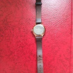 SKAGEN スカーゲン　ANITA SKW2267　レディースウォッチ 電池新品　10月3日交換の画像