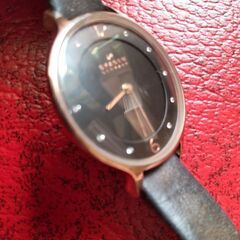 SKAGEN スカーゲン　ANITA SKW2267　レディースウォッチ 電池新品　10月3日交換の画像