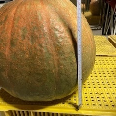 ハロウィンカボチャ