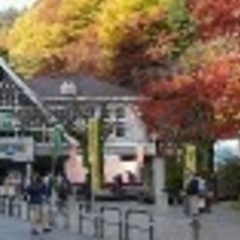 カフェオーダー11/4締め切り❗️11名参加予定！大人女子会❣️...
