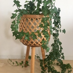 ★鉢カバー　木製　観葉植物付き