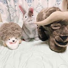 シャクレルプラネット 