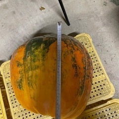 ハロウィンカボチャ2