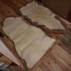 純ムートン　ラグの画像