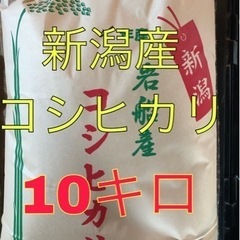令和4年度  新潟 岩船産コシヒカリ 玄米10キロ