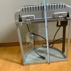 テトラ水槽　ハーフムーンアクアリウムの画像