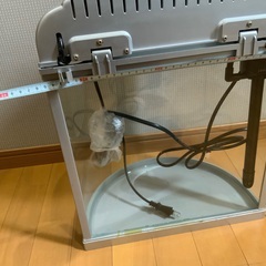 テトラ水槽　ハーフムーンアクアリウムの画像