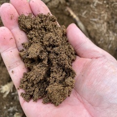残土　赤土　黒土　畑土　山砂　差し上げます　600立米　無料　千葉　山武　八街の画像