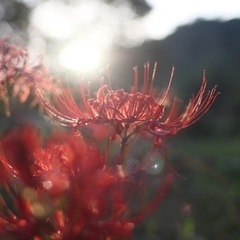 写真友達、撮影友達 - 友達