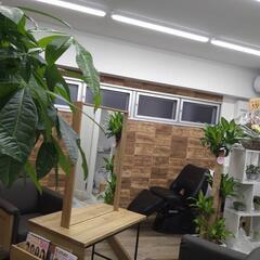 沖縄市泡瀬　美容室　ヘアーサロンフィックスの画像