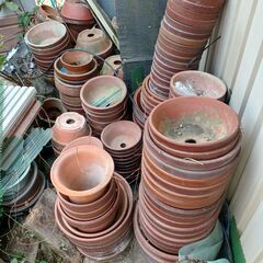 中古の盆栽鉢と植木鉢を格安でお売りいたします。の画像