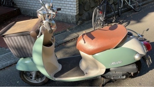 ビーノ モルフェ2014年登録