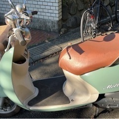 ビーノ モルフェ2014年登録