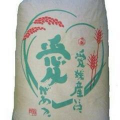 愛媛産　古米　30kg