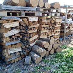 ★乾燥　広葉樹４種の薪　炊きくらべセット　計８００キロ〜配達可能の画像