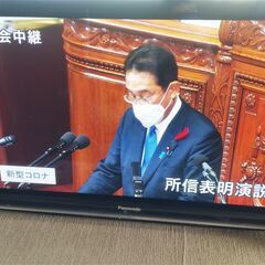 42インチプラズマテレビ TH-P42G1