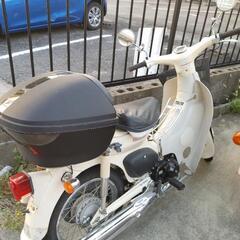 リトルカブ　８万円