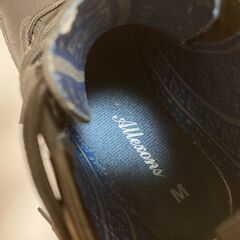 レインシューズ（ワークマン）の画像