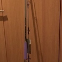 新品未使用タグ付きRYOBI ENTER SALT VS 229...