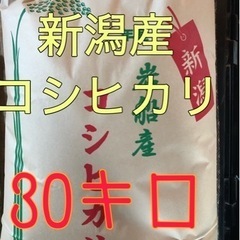 令和4年度　岩船産コシヒカリ　302