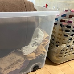 10/23まで 古着+収納ボックス まとめ売り 20点以上 キャスター付き 洋服 シューズ バッグの画像
