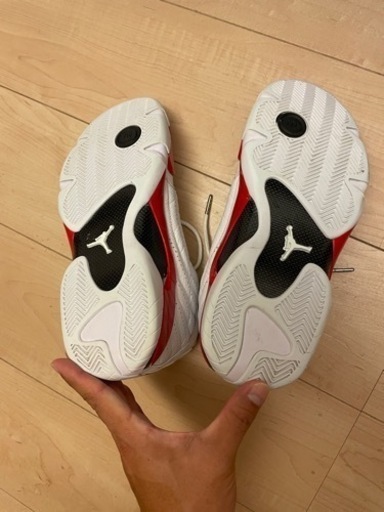 jordan14 人気カラー